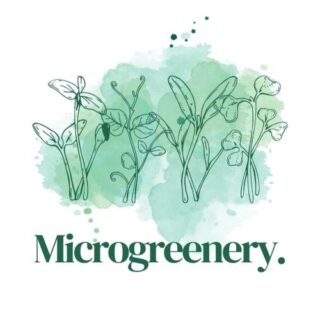 Hoera! The Microgreenery is een feit. Ingeschreven bij de KvK, website in de maak en dan hierbij het eerste berichtje op Instagram.